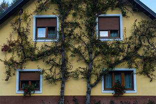 Fotos-Reise-Slowenien-Kaernten