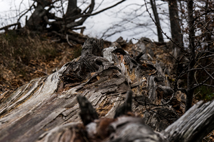 Fotos-Reise-Slowenien-Kaernten