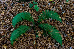 Fotos-Reise-Slowenien-Kaernten