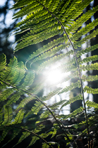 Fotos-Reise-Slowenien-Kaernten