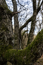 Fotos-Reise-Slowenien-Kaernten