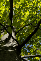 Fotos-Reise-Slowenien-Kaernten