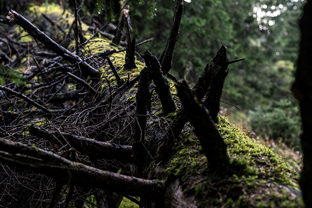 Fotos-Malá-Fatra-Slowakei