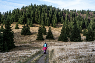 Fotos-Malá-Fatra-Slowakei