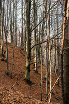 Fotos-Malá-Fatra-Slowakei