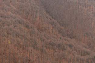 Fotos-Malá-Fatra-Slowakei