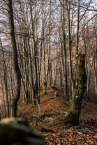 Fotos-Malá-Fatra-Slowakei