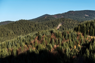 Fotos-Malá-Fatra-Slowakei