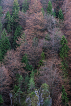 Fotos-Malá-Fatra-Slowakei