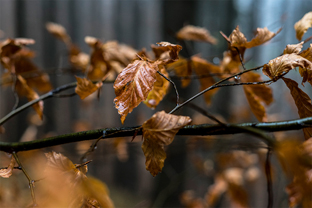 Fotos-Malá-Fatra-Slowakei