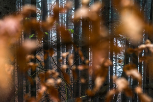 Fotos-Malá-Fatra-Slowakei