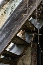 Fotos-Radreise-Slowenien