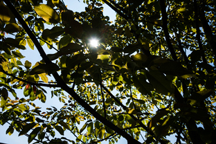 Fotos-Radreise-Slowenien