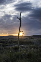 Fotos-Roadtrip-Spanien-Frankreich