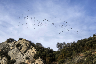 Fotos-Roadtrip-Spanien-Frankreich