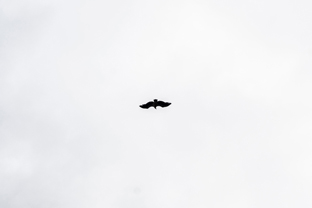 Fotos-Roadtrip-Spanien-Frankreich