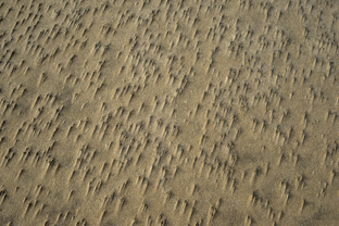 Fotos-Roadtrip-Spanien-Frankreich