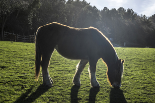 Fotos-Roadtrip-Spanien-Frankreich