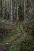 Fotos-Roadtrip-Spanien-Frankreich