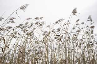 Fotos-Roadtrip-Spanien-Frankreich