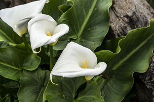 Fotos-Roadtrip-Spanien-Frankreich