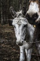 Fotos-Roadtrip-Spanien-Frankreich