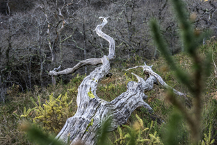 Fotos-Roadtrip-Spanien-Frankreich