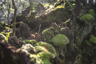 Fotos-Roadtrip-Spanien-Frankreich