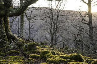 Fotos-Roadtrip-Spanien-Frankreich