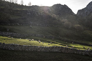 Fotos-Roadtrip-Spanien-Frankreich