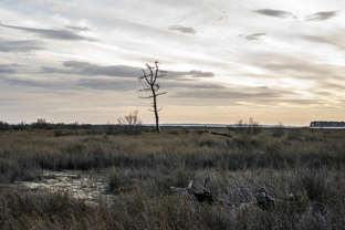 Fotos-Roadtrip-Spanien-Frankreich