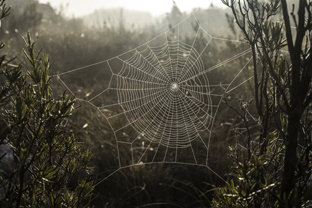 Fotos-Roadtrip-Spanien-Frankreich