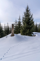 Sumava