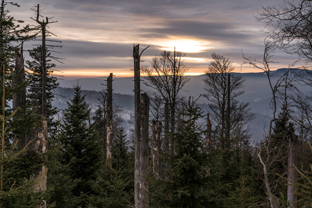 Sumava