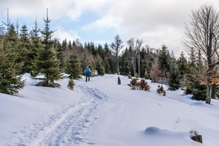 Sumava