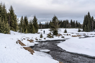 Sumava