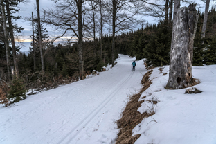 Sumava
