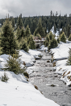 Sumava