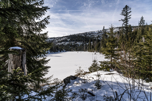 Sumava