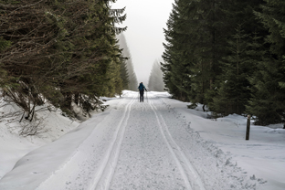 Sumava