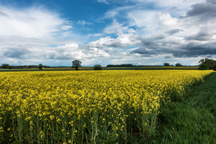 Fotos-Radreise-Trans-Bavaria