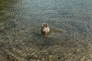 Fotos-Radreise-Trans-Bavaria