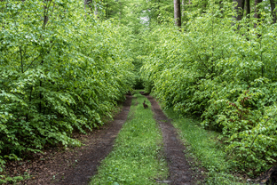 Fotos-Radreise-Trans-Bavaria