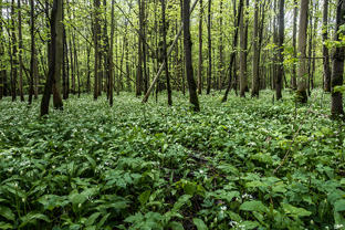 Fotos-Radreise-Trans-Bavaria