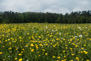 Fotos-Radreise-Trans-Bavaria