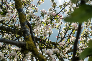 Fotos-Radreise-Trans-Bavaria