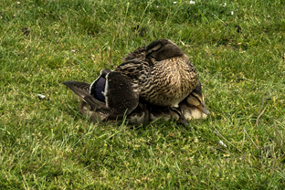 Fotos-Radreise-Trans-Bavaria