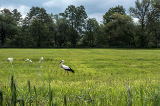 Fotos-Radreise-Trans-Bavaria