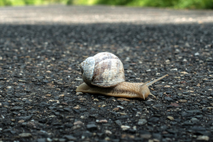 Fotos-Radreise-Trans-Bavaria