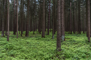 Fotos-Radreise-Trans-Bavaria